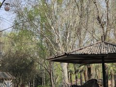 -郑州市动物园