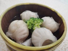虾饺-贝岭居酒楼(黄贝路店)