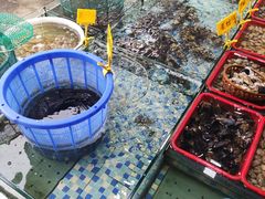 -阿里元老宋海鲜大排档(明发店)