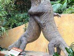 -广州长隆野生动物世界
