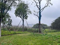 -春花秋色城市公园