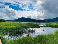 -腾冲北海湿地