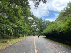 -红花湖景区