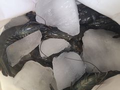 -南沙十九涌渔人码头-南门