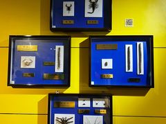 -上海昆虫博物馆