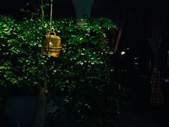 -三小姐咖啡店西餐下午茶(太平门直街店)