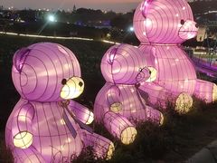 -大塘金香草谷