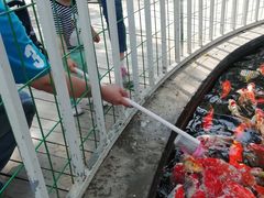 -杨柳青庄园