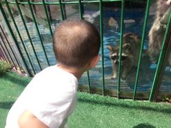 -萌宠亲子动物乐园(槐房万达店)