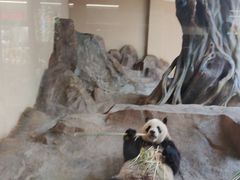 -宁波野生动物园