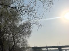 -长白岛森林公园