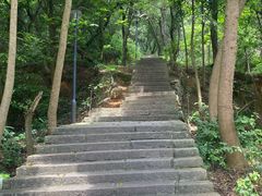 -青芝山风景名胜区