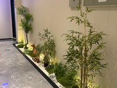 -沁耳阁躺式采耳SPA馆(宝安南路店)