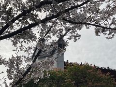 -堤角公园