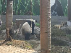 -南昌动物园
