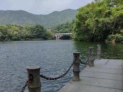 -杭州半山国家森林公园