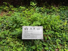 -广东中医药博物馆