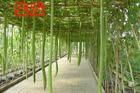 2-北戴河集发农业梦想王国