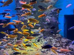 -威海华夏城景区