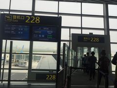 -哈尔滨太平国际机场