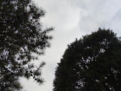 -青龙湖公园