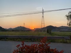 -李东农庄(中南百草园地标店)
