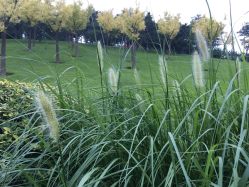 点击看大图 -大望京儿童游乐场