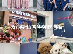 -立德24H动物医院·夜诊·转诊中心·1.5T核磁共振(海珠店)