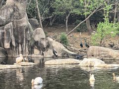 -合肥野生动物园
