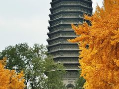 -玲珑塔公园