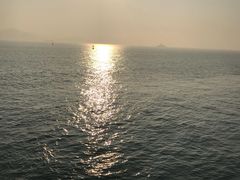 -演武大桥观景平台