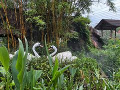 -长鹿旅游休博园