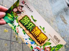 -南宫五洲植物乐园