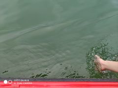 -石燕湖生态旅游景区
