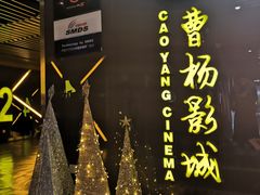 -曹杨影城(曹杨店)