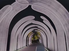 -渤公岛生态公园