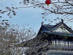-荔湾湖公园