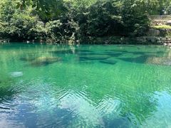 -石台牯牛降景区
