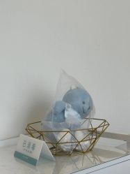 -智美品质医美
