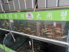 -阳澄湖大闸蟹·琼灵阁牌品牌连锁(吴中总店)