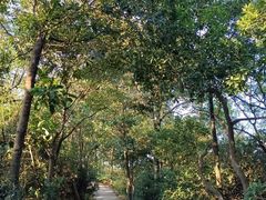 -广州市白云山风景名胜区