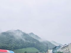 -安吉龙王山峡谷漂流