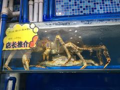 -蚝专家(北滘店)