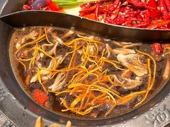 -蜀大侠火锅(春熙路店)