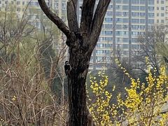 -迎泽公园