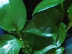 -学习谷日语培训日本留学·多语种外语教学(海淀人大分部)