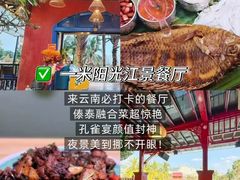 -西双版纳原始森林公园