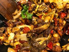 -食乐佳麻辣香锅(森林摩尔商业街区店)