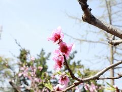 -沂蒙山旅游区云蒙景区(蒙山国家森林公园)