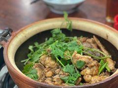 -华仔土鸡店(南洲分店)